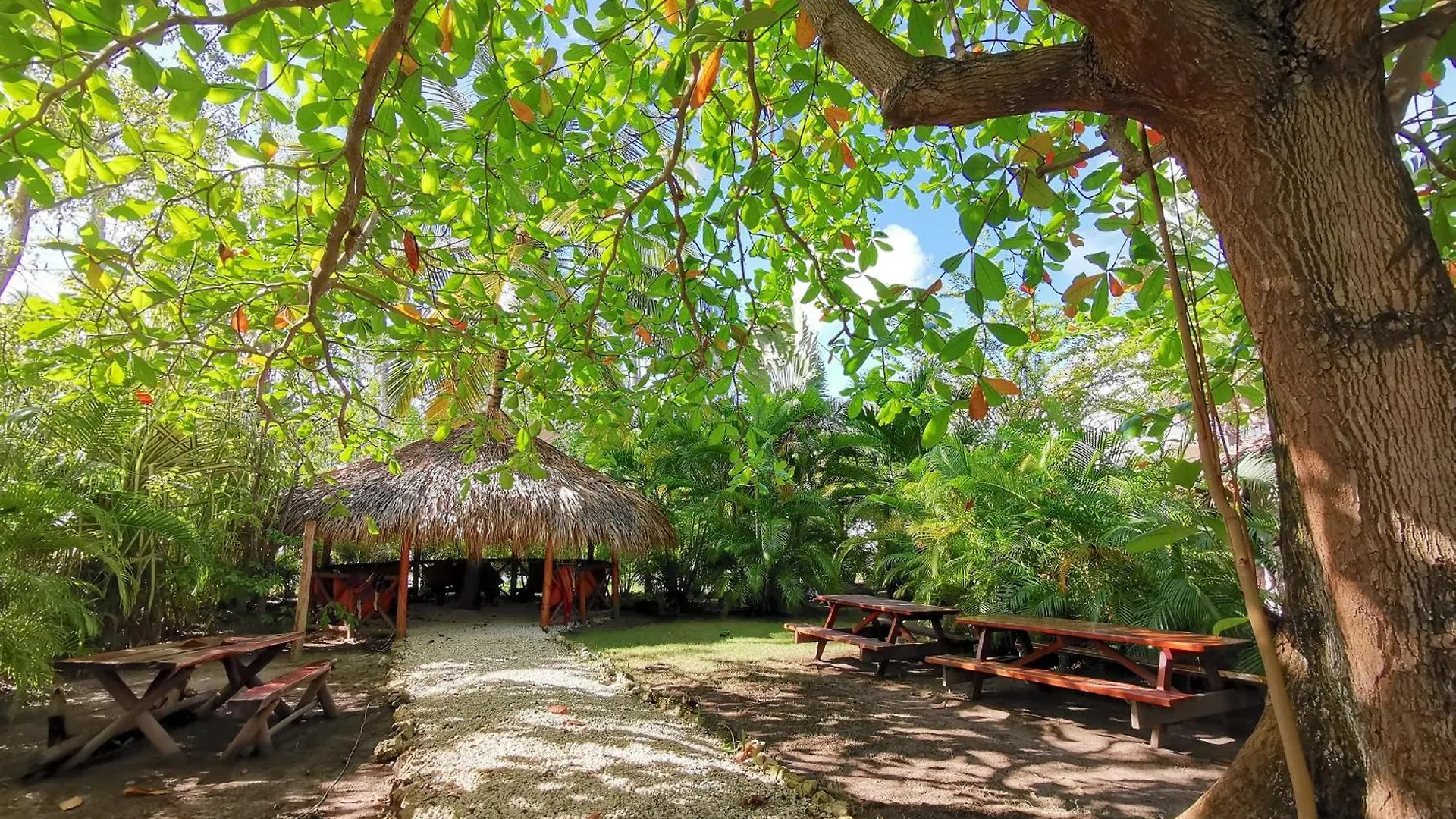 Hotel Deluxe Villas Bavaro Beach & Spa - Best Price For Long Term Vacation Rental Punta Cana